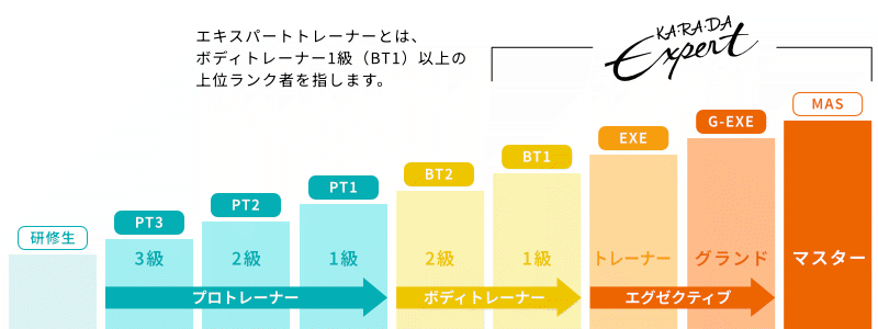 カラダファクトリーの技術ランクとエキスパートトレーナーの位置づけ