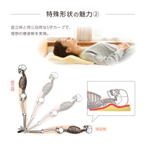 お客様一人ひとりの理想の眠りを提案するまくらがリニューアル！ 『寝ながら骨格 サポートまくらトリプルフィット』2024年8月5日より販売開始｜お知らせ｜整体・骨盤矯正・もみほぐしのカラダファクトリー